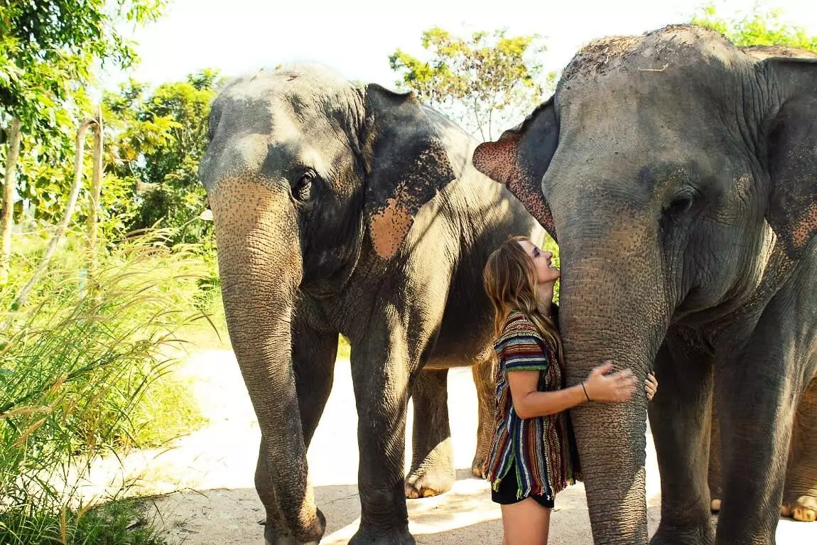 Elephant Sanctuary Thailand