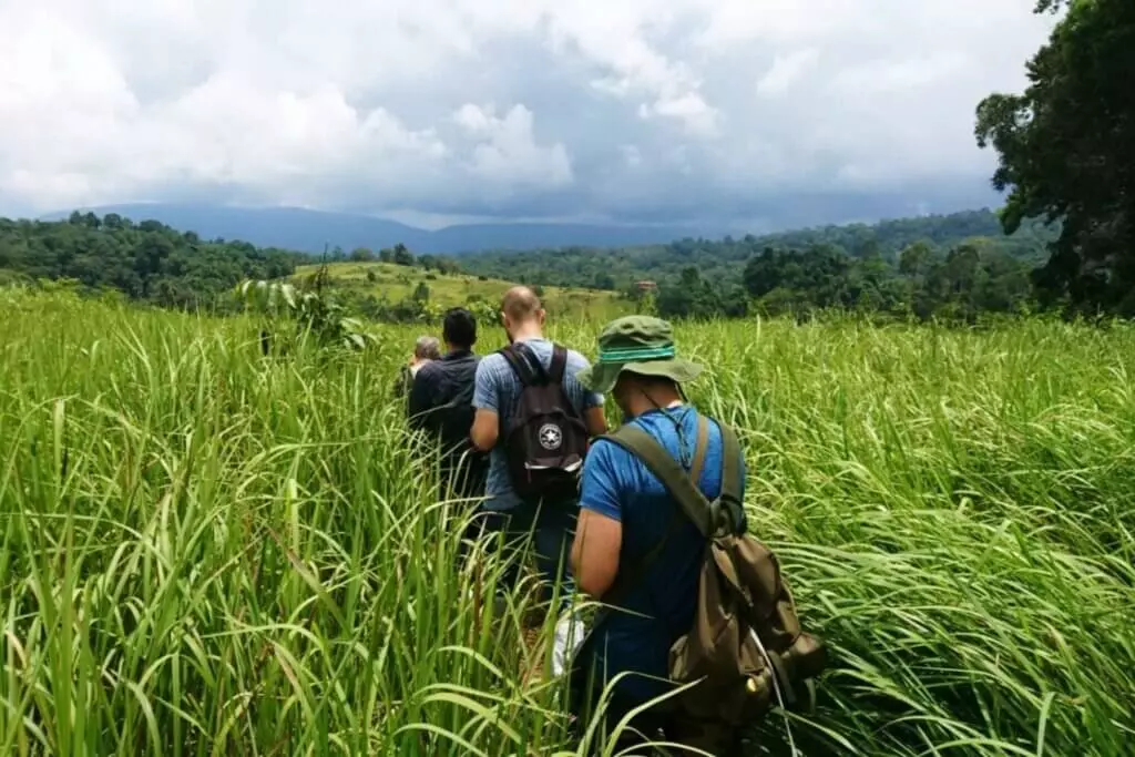 Visitors enjoy trekking the many hiking trails of Khao Yai