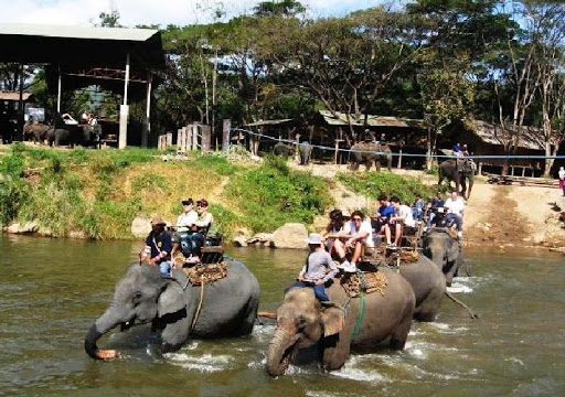 Program : 3 Days 2 Nights | Chiang Mai - Chiang Rai | Thailand Holiday