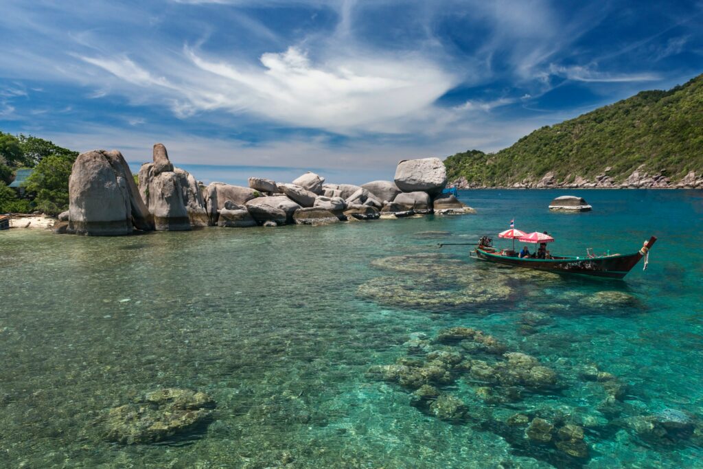  Explore the wonders of Thai natural beauty on a boat tour, with the mangroves on the shore